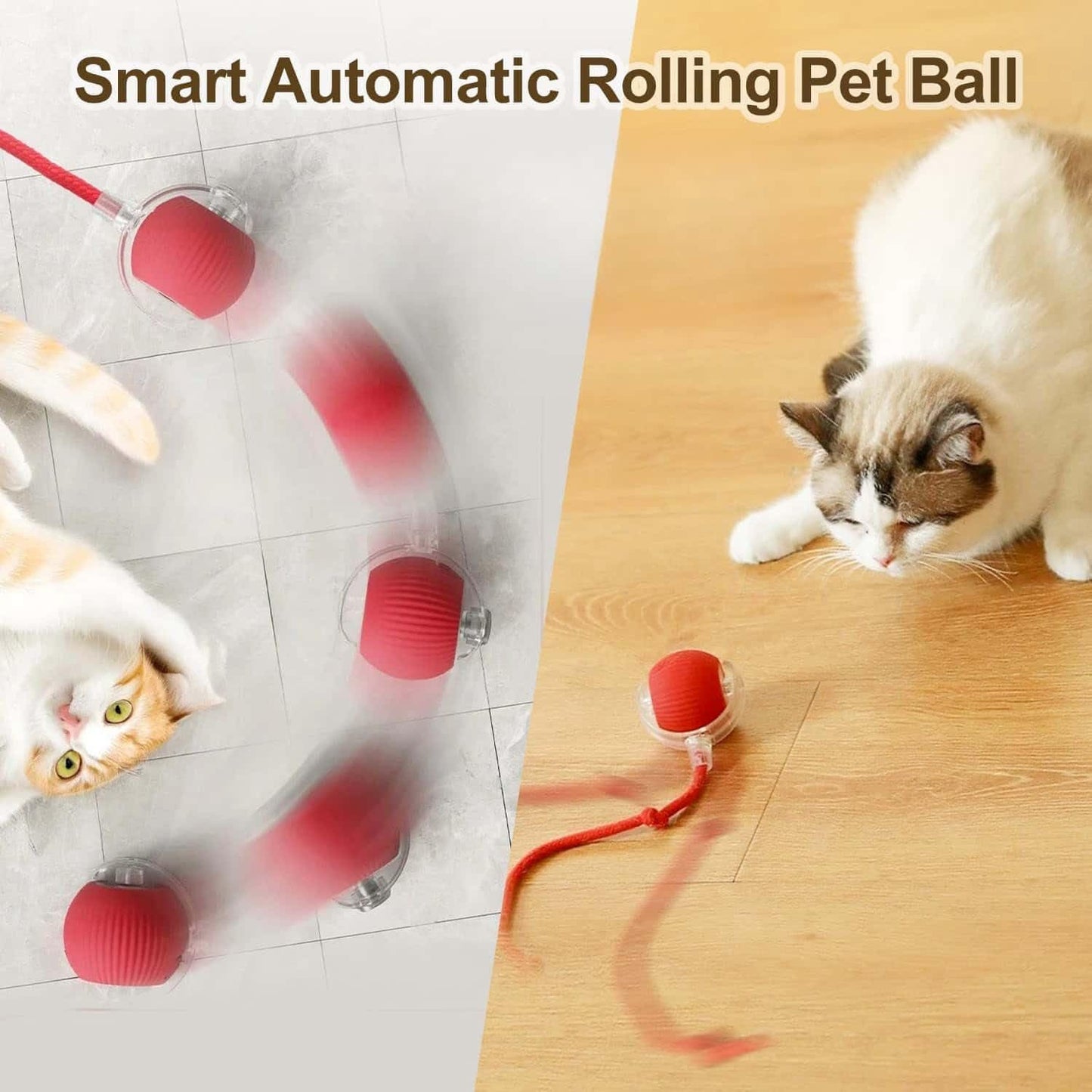 Pet Rolling Fun Ball
