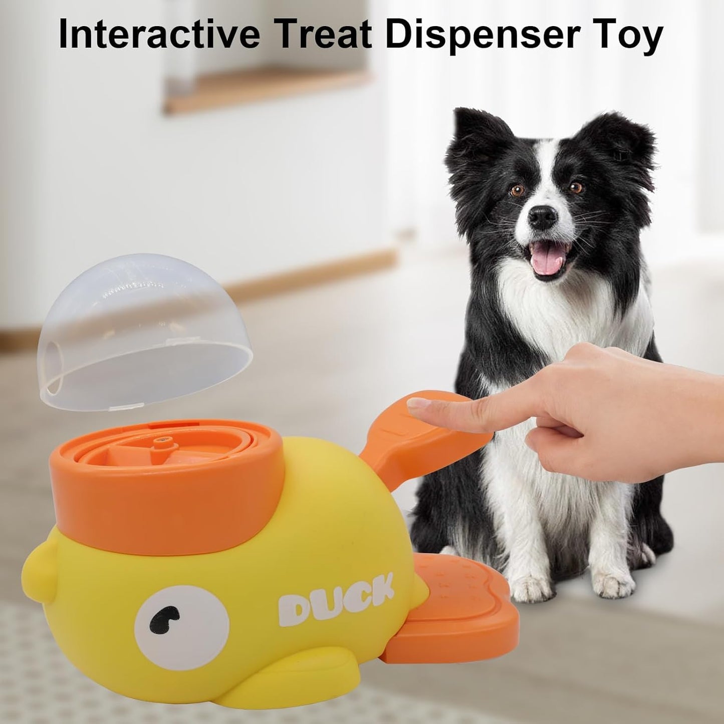 Pet Puzzle Feeding Toy