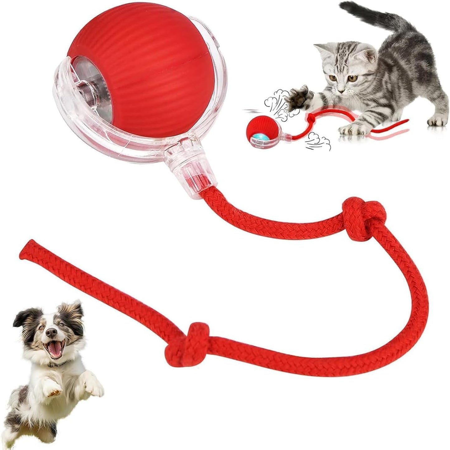 Pet Rolling Fun Ball