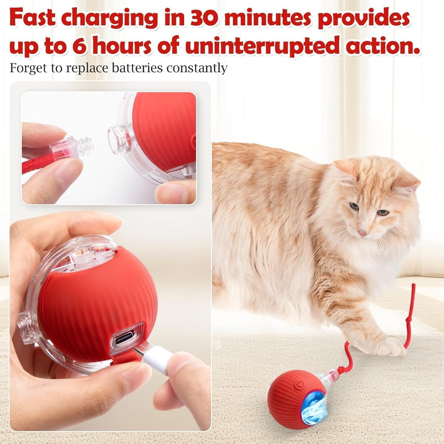 Pet Rolling Fun Ball