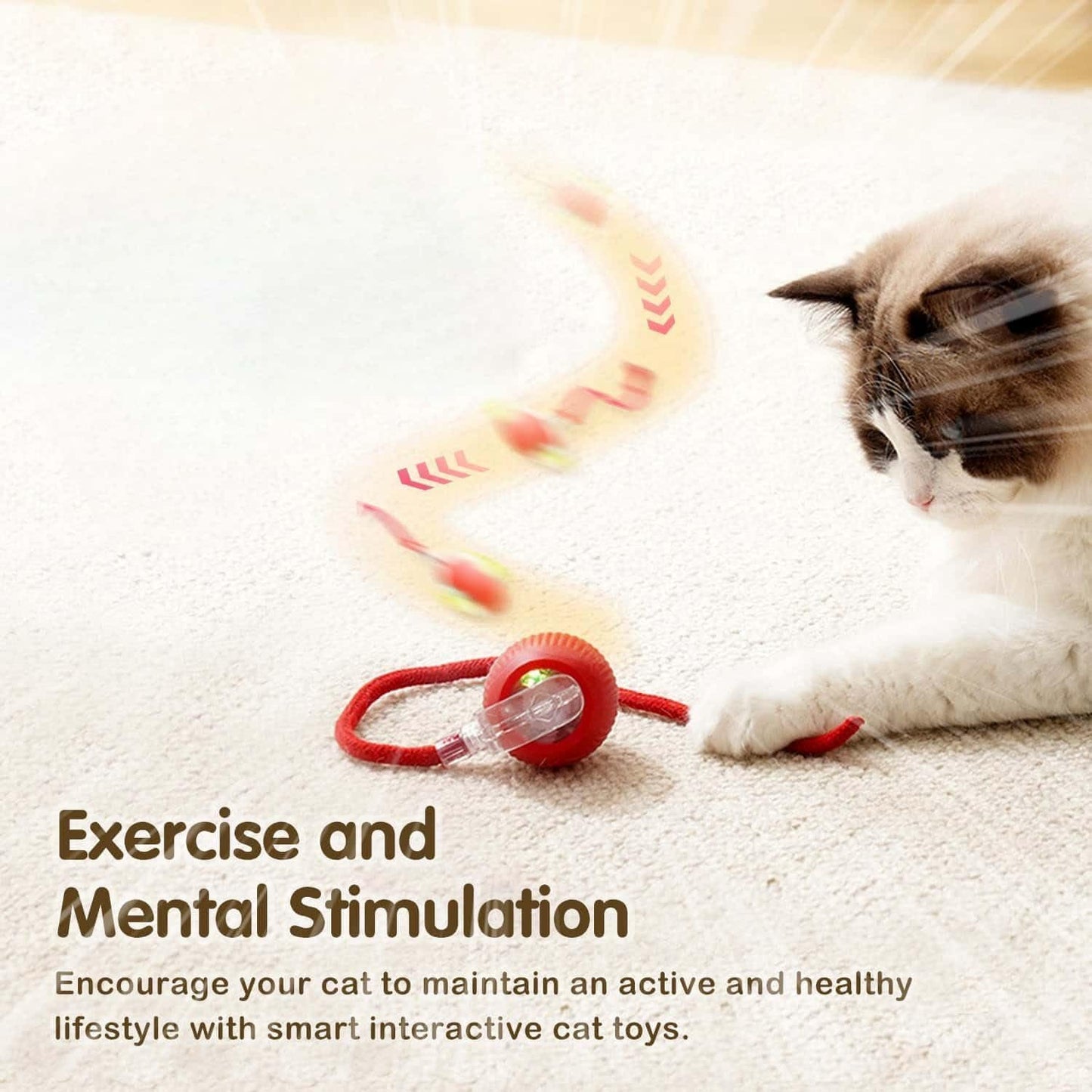 Pet Rolling Fun Ball