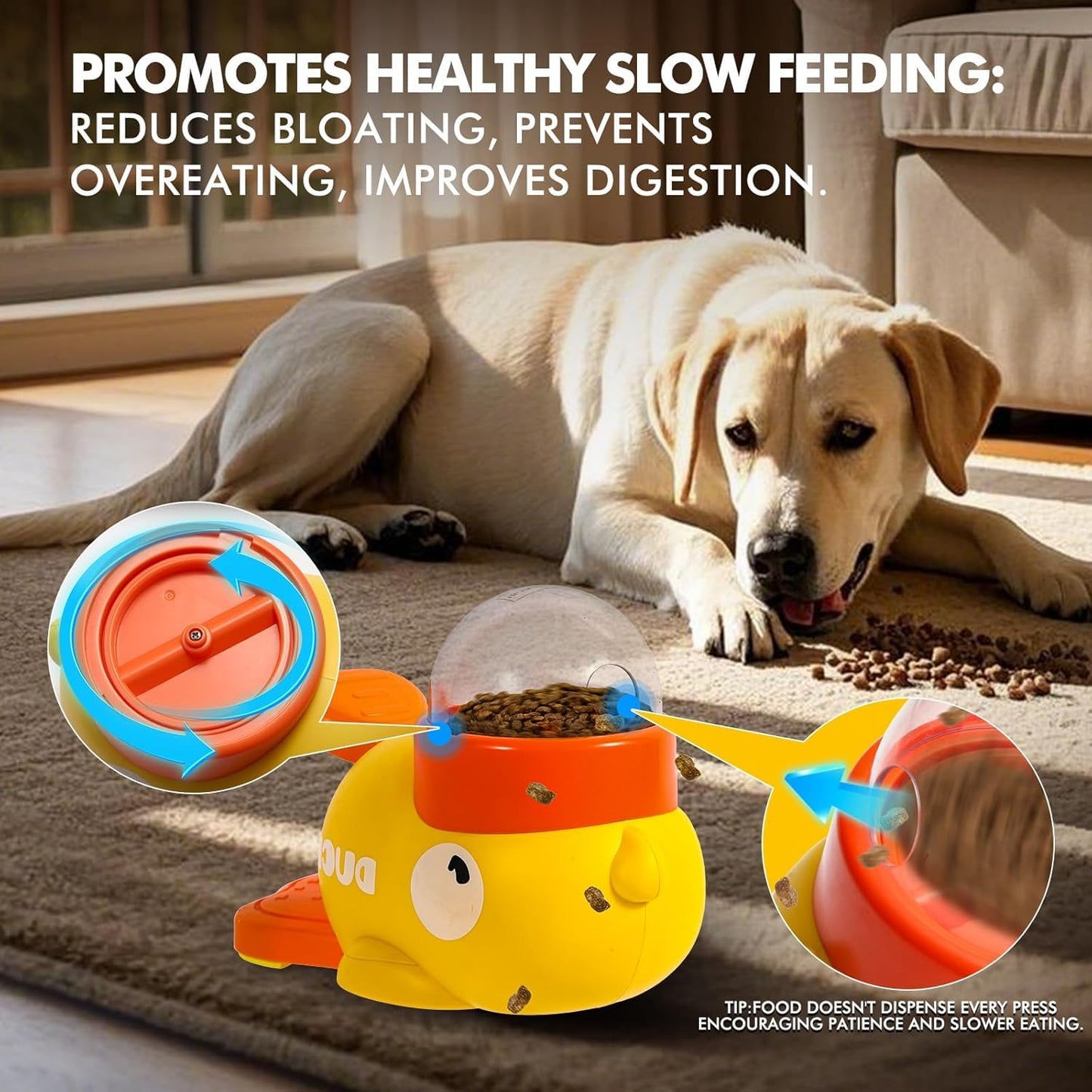 Pet Puzzle Feeding Toy