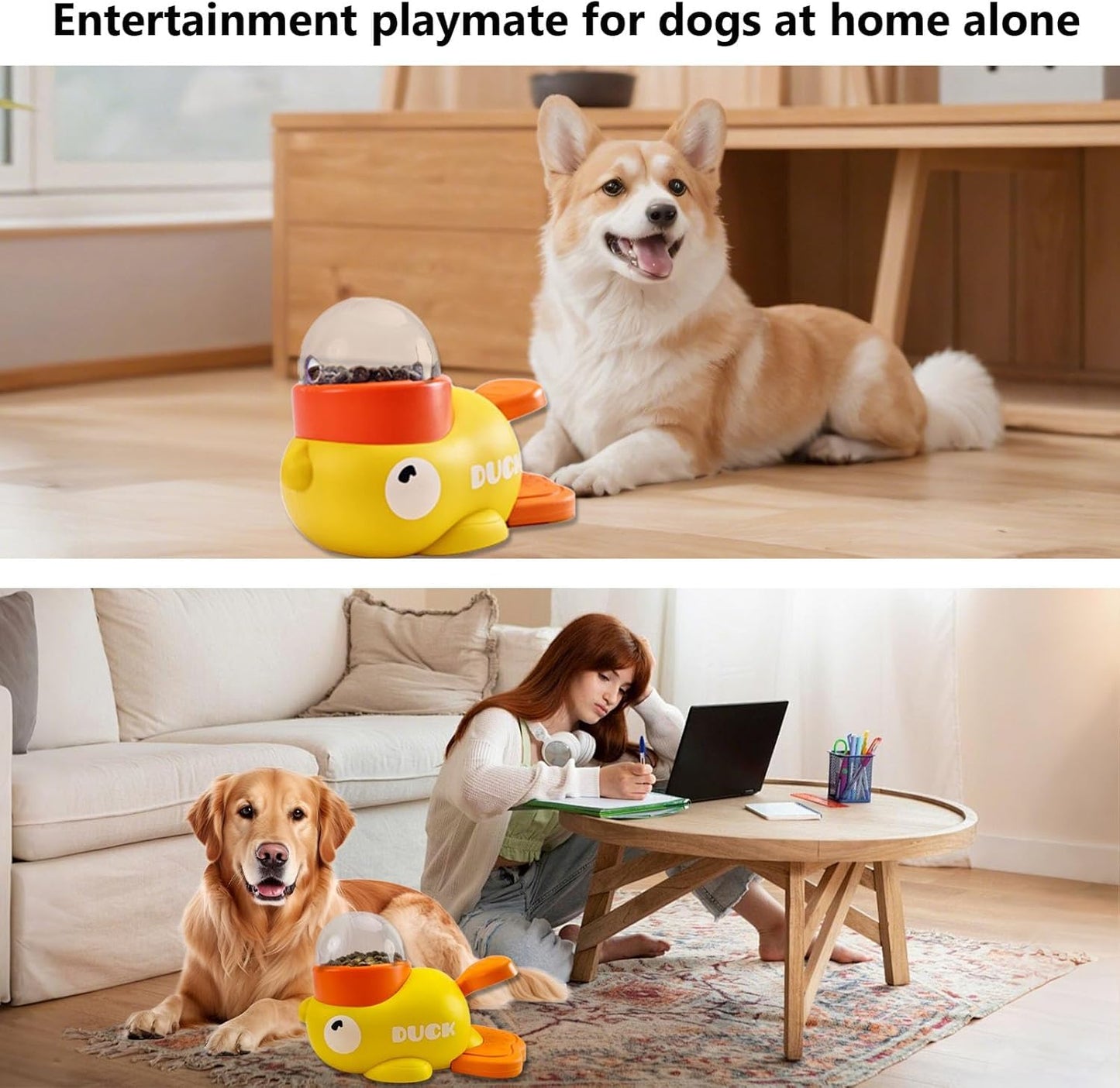 Pet Puzzle Feeding Toy