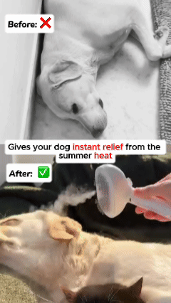 MistBuddy™ Brush